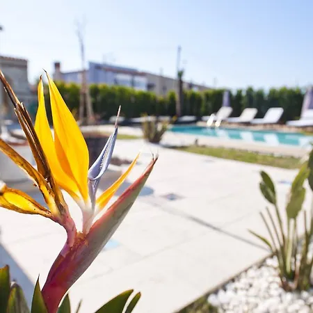 Sade לינה וארוחת בוקר