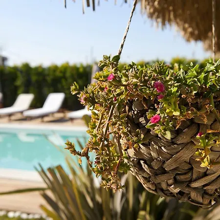 Sade 4* アラカティ