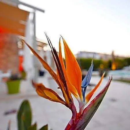 فندق مبيت وإفطار Sade