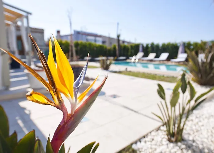 Sade Bed & Breakfast